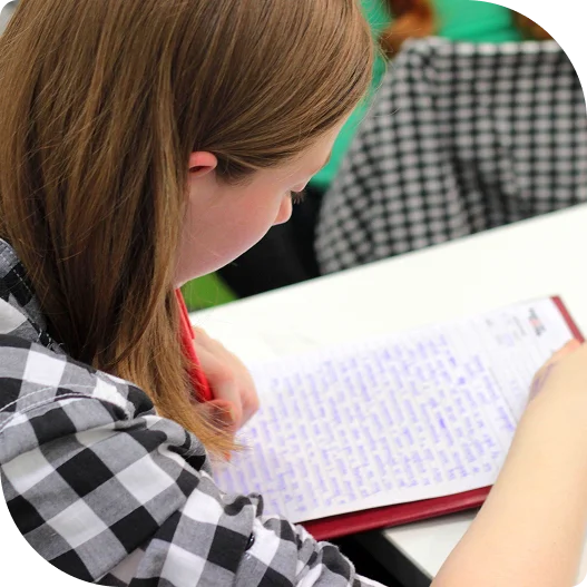 Clever Fox Education exams and assessments guide — NAPLAN, ICAS, selective, and scholarship